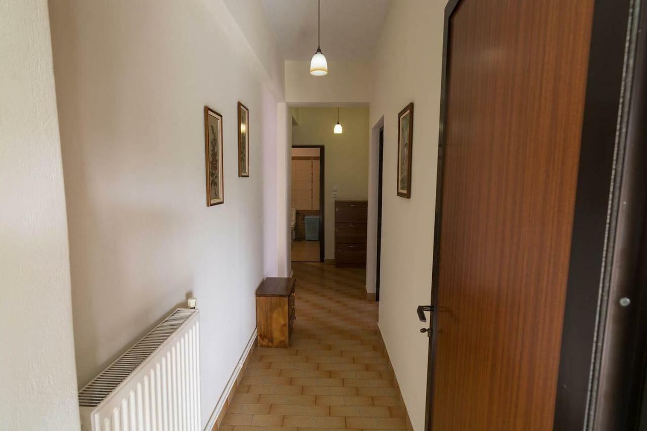 Big Family House In Mesochoria Village Exterior photo